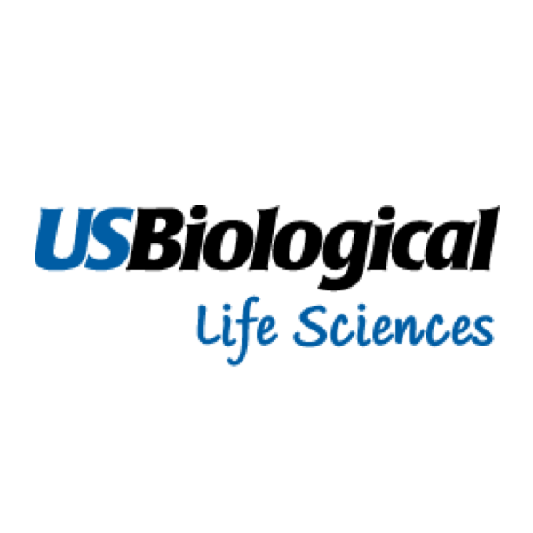Rat Chimeric IgG2c Isotype Control (Unknown Specificity) (Chimeric)